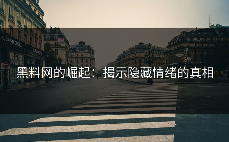 黑料网的崛起：揭示隐藏情绪的真相  第1张
