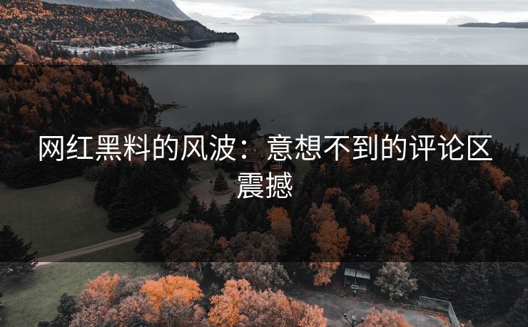 网红黑料的风波:意想不到的评论区震撼 第1张 网红黑料的风波:意想不到的评论区震撼 第1张